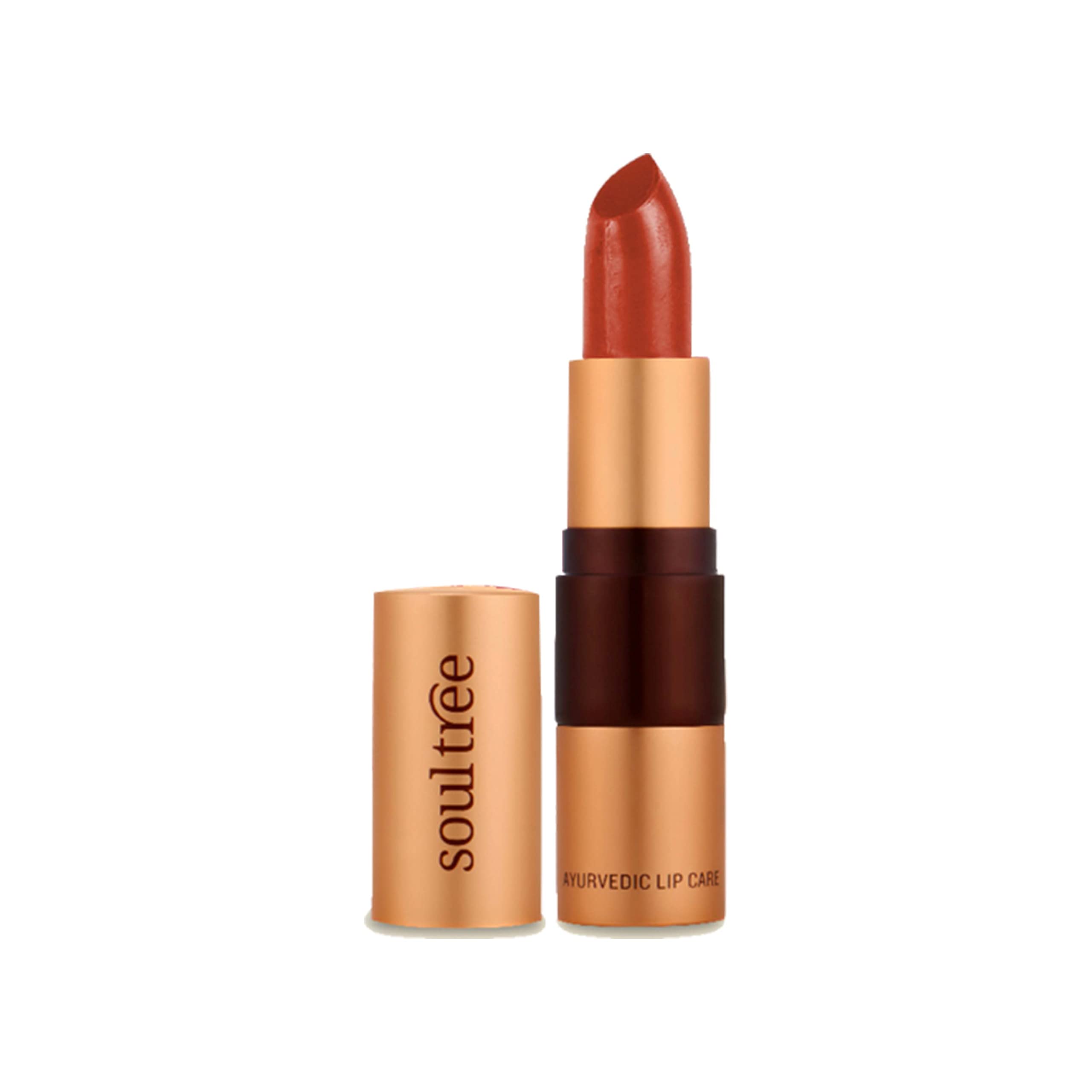 SOULTREE Ayurvedic Lipstick - Rich Earth 777 (4 Gram)