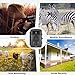 Wildlife Camera, Abask Trail Surveillance Waterproof Digital Camera 3 Zone Infrared Sensor Trail Camera 12MP 1080P HD with Time Lapse 65ft 120° Wide Angle Night Vision for Game & Hunting