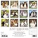 Just Shelties 2017 Wall Calendar (Dog Breed Calendars)