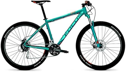 mtb focus black forest 29