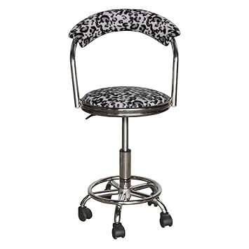 Woodness Rodio Bar Stool (Matte Finish, Silver)