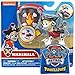 PAW Patrol Pirate Pups Exclusive Figure Marshall