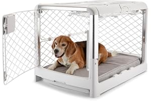 DIGGS Revol Collapsible Dog Crate with Wheels - Premium Portable Dog Crate - Safe, Stylish, and Convenient Indoor Kennel (Ash, Medium)