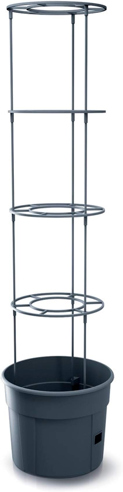 Prosperplast Tomato Grower Plastic Planter Anthracite 29.5x23.6-115.2cm