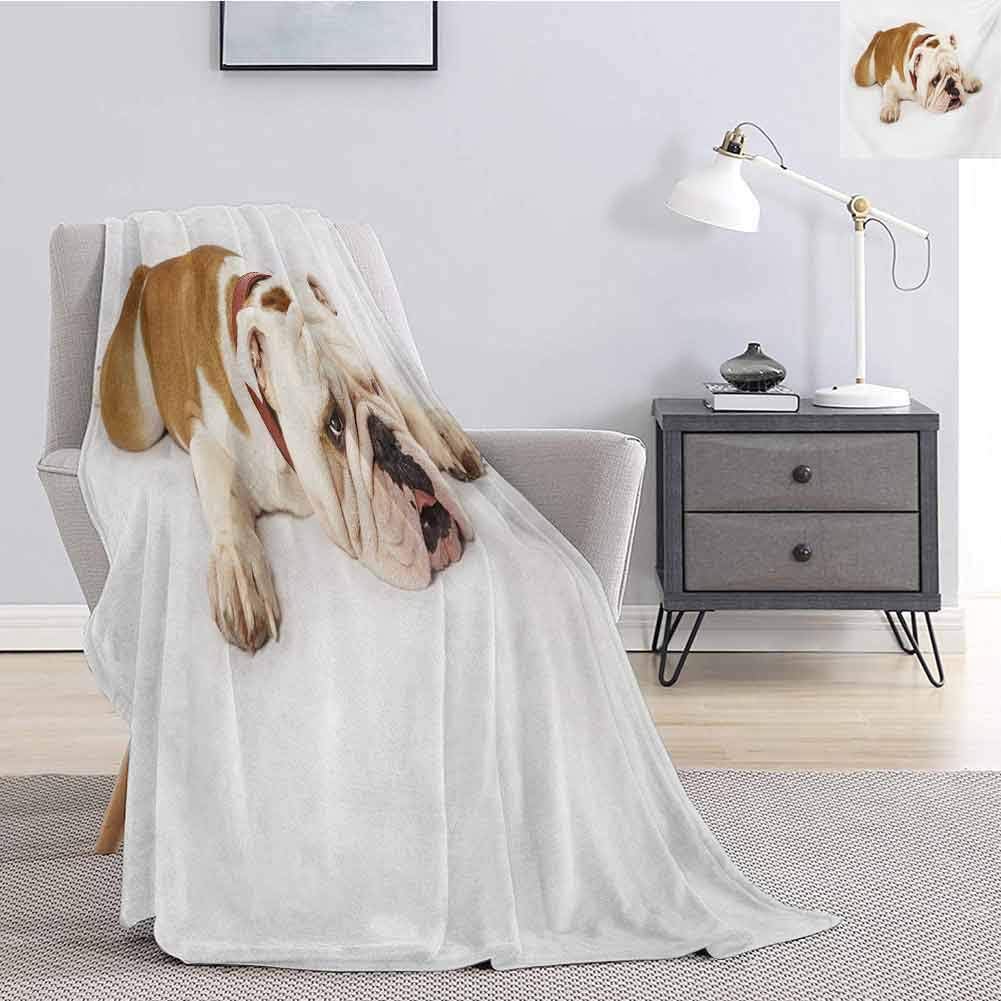 Luoiaax English Bulldog Bedding Flannel Blanket Sad and Tired Bulldog Laying Down European Pure Breed Animal Photography Super Soft and Comfortable Luxury Bed Blanket W70 x L90 Inch Cream Brown