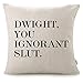 CHICCAT Cotton Linen Throw Pillow Case - Dwight, You Ignorant S..." Home Decor Wedding Gift Engagement Present Housewarming Gift Cushion Cover 18 X 18 primary