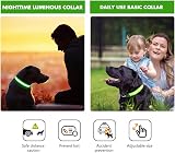 MASBRILL Light Up Dog Collar LED USB Rechargeable Green S view 7