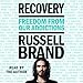 Recovery: Freedom from Our Addictions by 