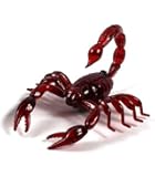 Newstylee Red-electric Rc Scorpion Innovation Infrared 360&deg; Ready to Run, Cool Creepy Crawler (Colors May Vary)