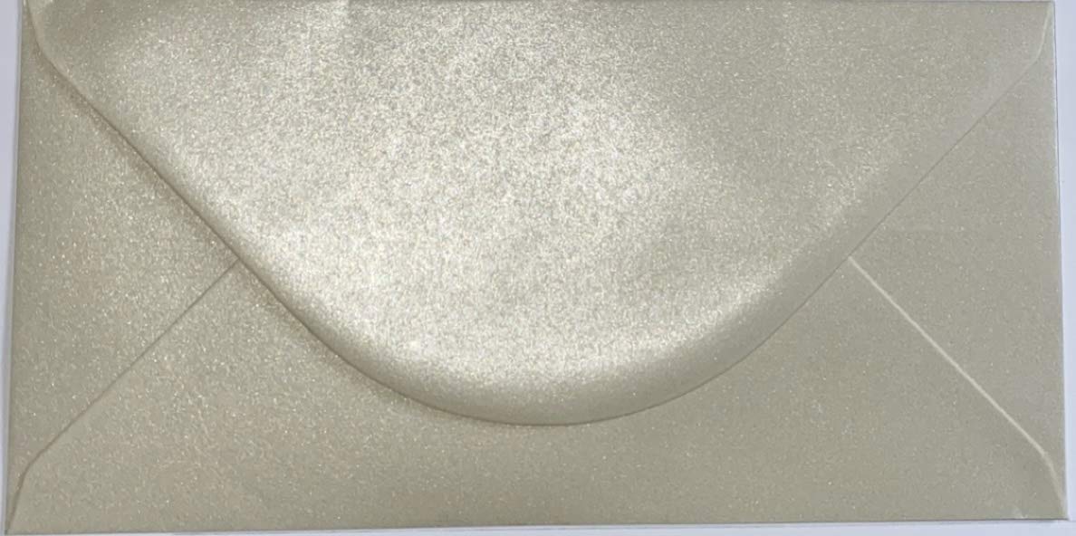 DL (110mm x 220mm) Coloured Envelopes Perfect for Christmas Cards, Greeting Cards, Wedding/Party Invitations, Crafts and Many More - Pack of 12 (Pearl Ivory)