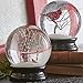 Winter Snow Globe by RAZ Imports: 4.5 Inch Cardinal Snow Globe (Cardinal Branch)
