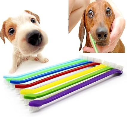 amazon dog toothpaste