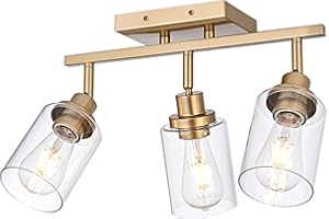 Wanluce 3-Light Gold Tracking Lights, Multi-Directional Rotating Ceiling Tracking Lighting Fixture with Clear Glass, Modern Bathroom Ceiling Vanity Lights Track Lighting Kits for Kitchen Accent Shop