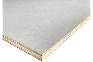 Falken Design Birch Plywood Project Panel Grade D4(F/F) 24 in. x 48 in. x 3/4 in. Thick