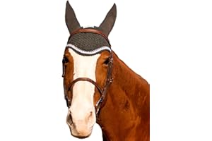 Equine Couture Fly Bonnet with Silver Rope & Crystals