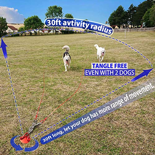 Dog Tie Out Cable and Stake 360° No Tangle Spiral Dog Yard Stake and