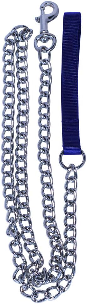 Pet Champion 5ft Chain Leash with Nylon Handle Easy Lead No Pull, Assorted Colors : Pet Supplies