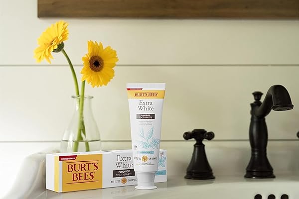 BURT’S BEES EXTRA WHITE TOOTHPASTE, FLUORIDE TOOTHPASTE, NATURAL FLAVOR, MOUNTAIN MINT, 4.7 OZ, PACK OF 3