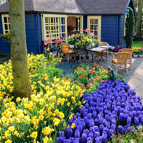 Weele Professionele Elektrische Parfumeur Om Grote Ruimtes te Parfumeren met Nisida Parfum 500 ml - Afbeelding 7