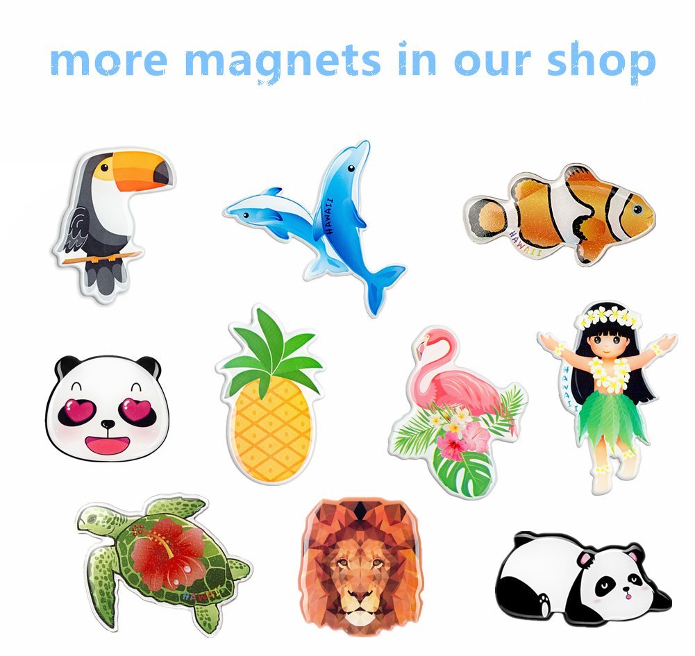 Conjunto de imanes para nevera de frigorífico pegatinas de papel ...