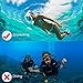 Jasonwell Snorkel Mask Full Face 180°Panoramic View Foldable Full Face Snorkeling Mask with Camera Mount Breathe Easy Snorkel Gear Set Anti-Fog Anti-Leak for Adults & Kids (Black L/XL)