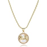 Luluadorn Gold Zodiac Necklaces for Women Red Yellow Green Clear CZ Aries Taurus Gemini Cancer Leo Virgo Libra Scorpio Sagittarius Capricorn Aquarius Pisces Birthday Anniversary