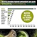 Organic Ceremonial Matcha - Best Taste - USDA Organic - Energy Booster - Green Tea Powder (2oz)