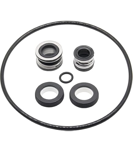 Jandy (Polaris) PB4-60 Booster Pump Backplate R0536700