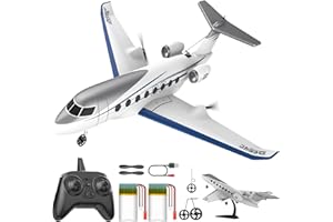 DEERC G650 RC Plane Private Jet,3-CH Remote Control Airplane Toys,2.4GHz 6-axis Gyro Stabilizer RTF Hobby Glider Aircraft Plane Easy to Fly for Beginners Kids Adults