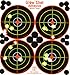 25 and 75 Pack - 4 Bullseye - Reactive Splatter Targets - Tagboard and Adhesive Versions- GlowShot - Multi Color - Gun and Rifle Targets (Adhesive Multi-Color 75 Pack)