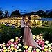 MMHF Outdoor Solar Garden Stake Lights,Upgraded LED Solar Powered Light with 6 Rose Flowers, 3 Pack Colorful Waterproof Solar Decorative Lights for Garden, Patio, Backyard (White＆Pink＆Yellow)