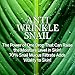 [Anti Wrinkle Snail] Ampule for Anti aging, moisture and tightening (1.01fl.oz./30ml)