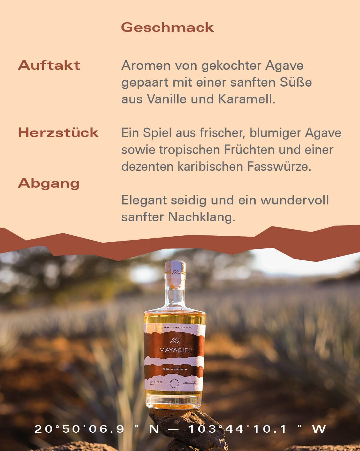MAYACIEL Tequila Reposado – Weltweit einzigartig, zur Perfektion gereift in karibischen Rum-Fässern | IWSC Gold | 100% Agave & Natürlich | Fruchtige Agave, Karamell & Vanille | 0,5 l 8