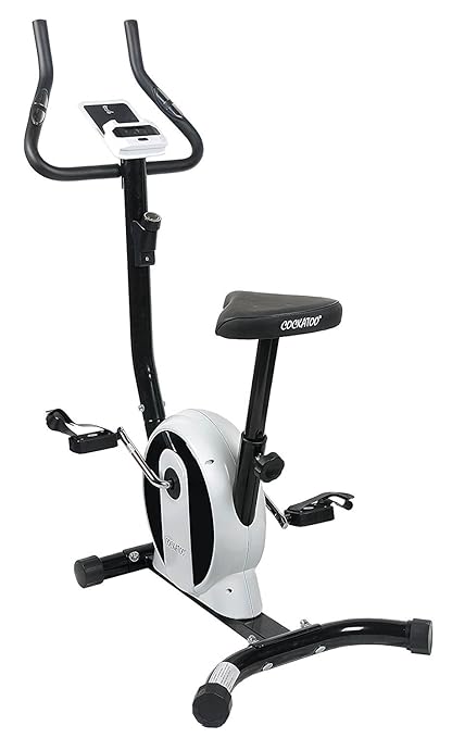 cockatoo exercise bike