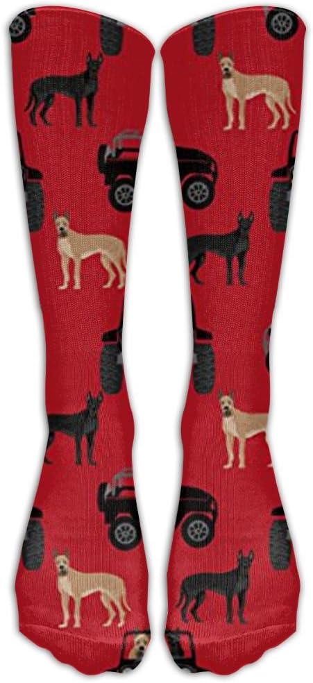 Great Dane In Cars Training Socks Crew Athletic Socks Long Sport Soccer Socks Soft Knee High Sock Compression Socks For Men Women