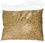 CaraPils (1 lb) by Briess