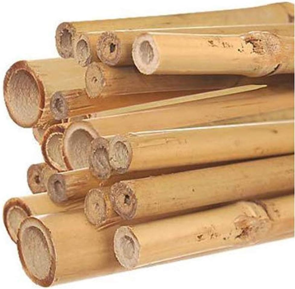 Hydrofarm HGBB4 4' Natural, Pack of 25 Bamboo Stake, 4 foot, Tan : Garden Stakes : Garden & Outdoor