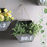 JKL-Soportes para plantas 3 Productos Soporte de flores para ...