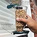 GrayBunny GB-6849 Window Bird Feeder, Green, Premium Hard Plastic, Large Seed Housing