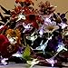 Impress Life Festive Fairy String Lights, Hummingbird Flexible Copper Wire 10 ft 40 LEDs with Remote for Bird Lover, Wedding, Spring, Garden, Birthday Party Home Decorations