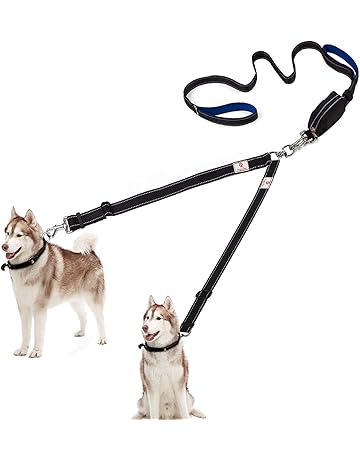 y leash for dogs