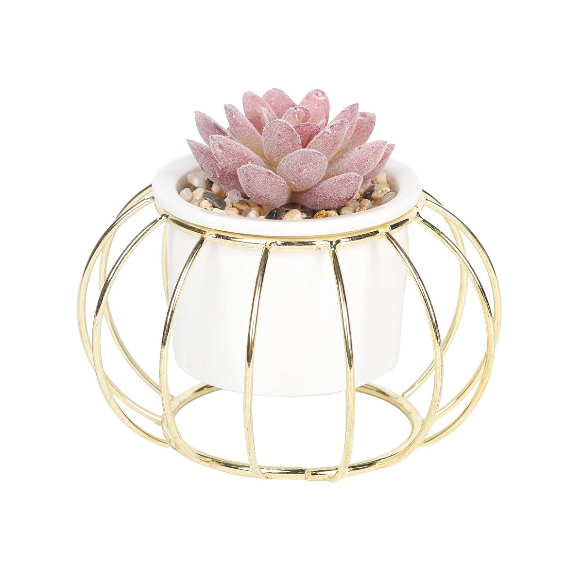 Sleepdown Halo Red Succulent Artificial Faux Plant Gold Cage Stand for Home Office Bathroom Decor Indoor Decoration Aesthetics, Small