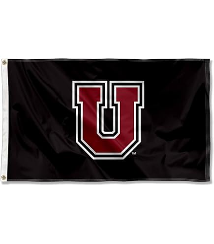 Desert Cactus University At Albany NCAA Flagge – 91x152 Cm, 100D Polyester Für Indoor & Outdoor