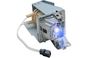 Pugody BL-FP190E FP190D SP.8VH01GC01 Replacement Projector Lamp Bulb for Optoma HD141X HD26 GT1080 HD29darbee DH1008 DH1009 H182X W316 S310E X312 S316 X315 DW333 EH200ST BR323 BR326 DS340E DS345 DS346