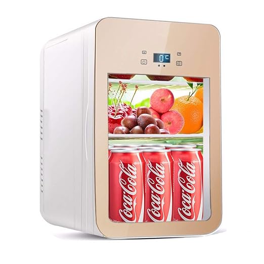 GST&GST Nevera para Auto De 22 litros con Refrigerador para Autos ...