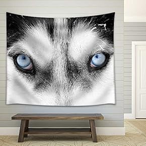 Close Up on Blue Eyes of a Husky Dog - Fabric Wall Tapestry Home Decor - 51x60 inches