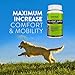 Animagix Dog Hip & Joint Supplements with 800mg Glucosamine, 400mg Chondroitin, 400mg MSM - Helps for Dog Joint Pain Relief
