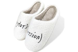 AUCOMFO Taylors Slippers For Women Men,Cute Comfy Bedroom Slippers,Fall Home Slippers House Slippers,Ladies Fuzzy Slippers,indoor Memory Foam Slippers For Womens Mens