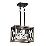 KEESFU Farmhouse Kitchen Light Fixtures, 2 Lights