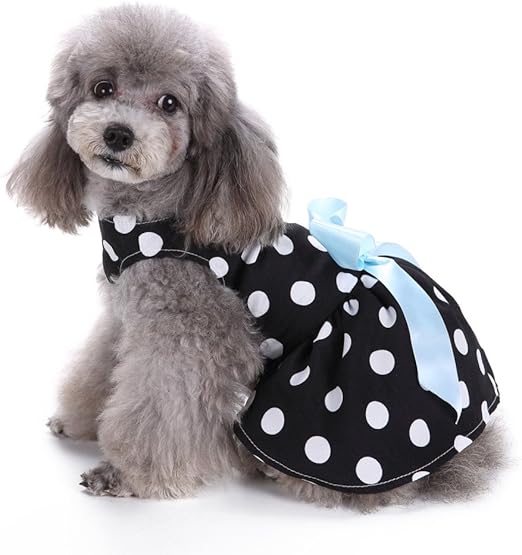 chihuahua summer clothes